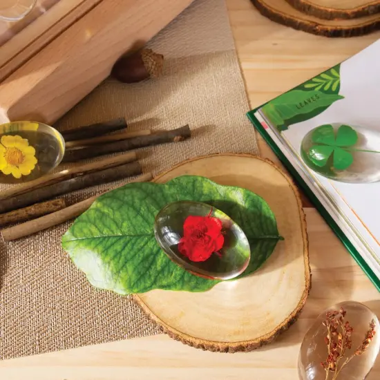 Kaplan Early Learning Company Specimen Stones: Plants - 9 Pieces {7}