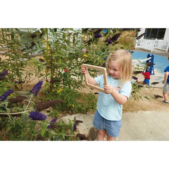 Natural Focus Frames, Set of 3 {2}