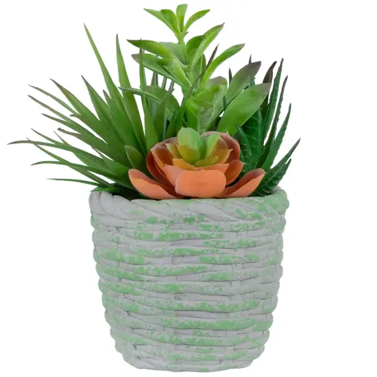 Northlight Potted Artificial Mixed Succelents Decoration - 8.5" - Green {1}