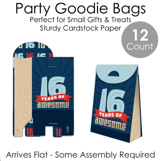 Big Dot of Happiness Boy 16th Birthday - Sweet Sixteen Birthday Gift Favor Bags - Party Goodie Boxes - Set of 12 {7}
