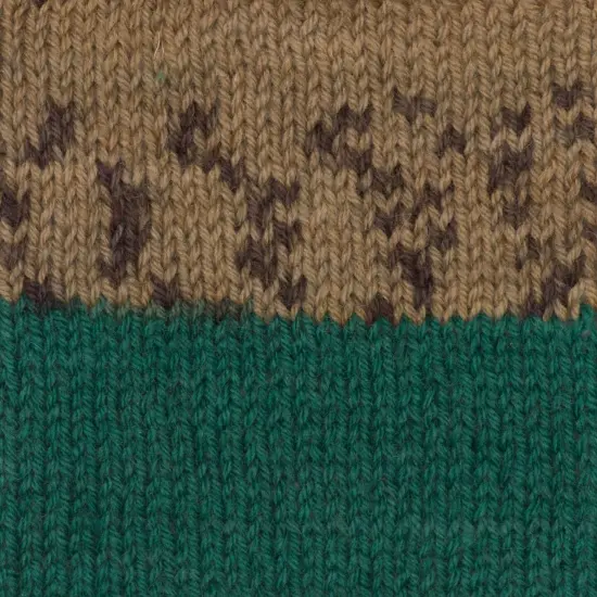 (Pack of 2) Patons Kroy Socks Yarn-Woodsie {4}