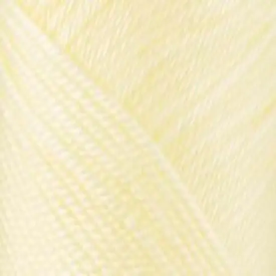 Multipack of 24 - Caron Simply Soft Solids Yarn-Off White {3}