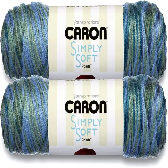(Pack of 2) Caron Simply Soft Paints Yarn-Spring Brook {1}