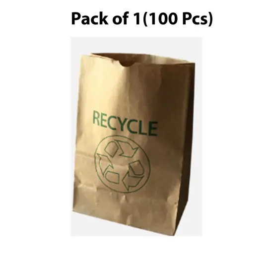 Paper Bag Brown-57 | Reusable for eco-conscious consumers | RAHEEV&reg; {1}