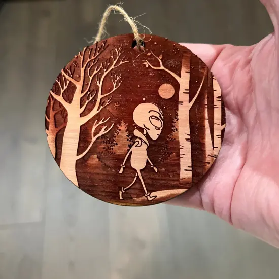 Winter Alien - Cedar ornament {4}