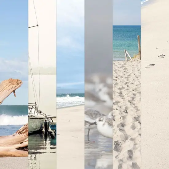 East Coast Beach 12 x 12 Scrapbook Paper Set {1}