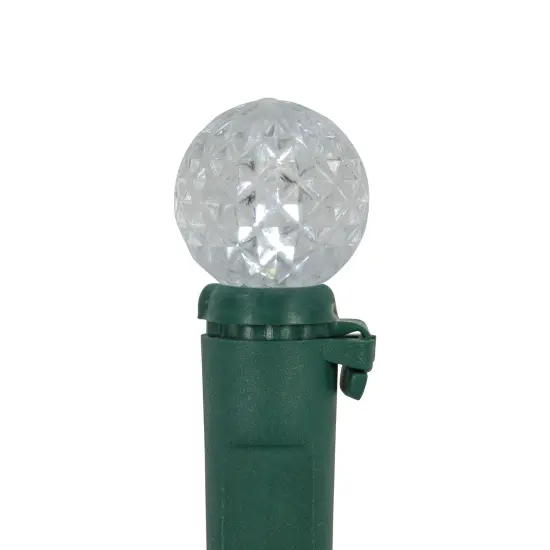 Northlight LED G12 Berry Christmas Lights - Pure White - 16' Green Wire - 50ct {6}