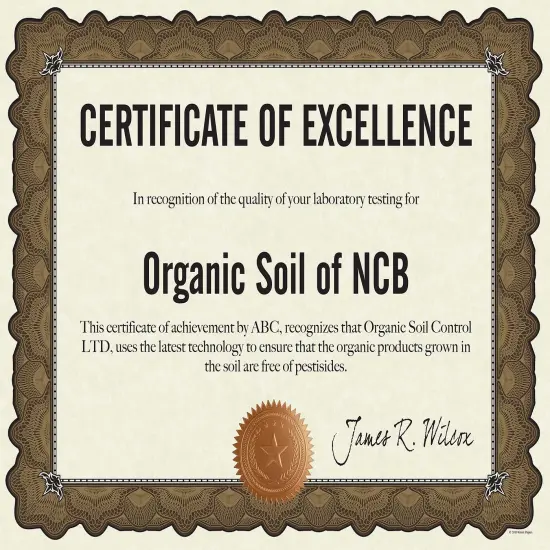 Great Papers! Cambridge Certificates with Copper Seal, Gold Border, 8.5" x 11", Printer Compatible, 10 Count {4}