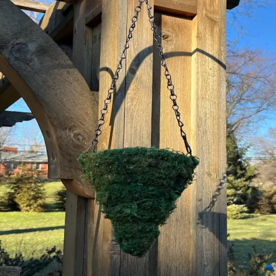 6" MOSS Hanging Basket - Circle Cone {6}