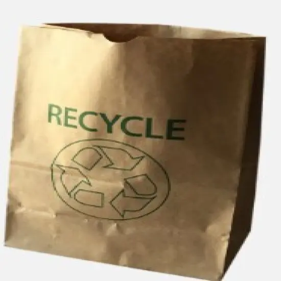 Paper Bag Brown-4 | grocery carryout and reusable for eco-conscious consumers | RAHEEV&reg; {2}
