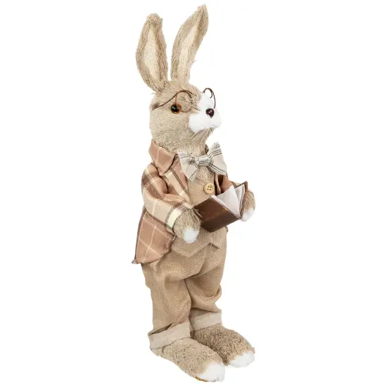 Northlight Rustic Boy Rabbit Easter Figure with Book - 16.25" - Beige {6}