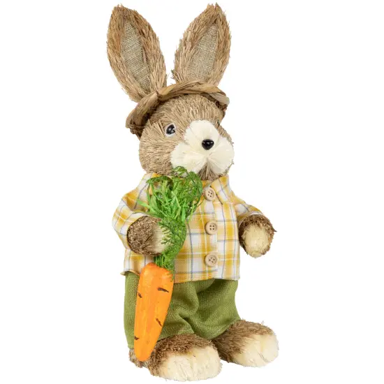 Northlight Rustic Boy Rabbit with Carrot Standing Easter Figure - 13.75" - Brown and Yellow {5}