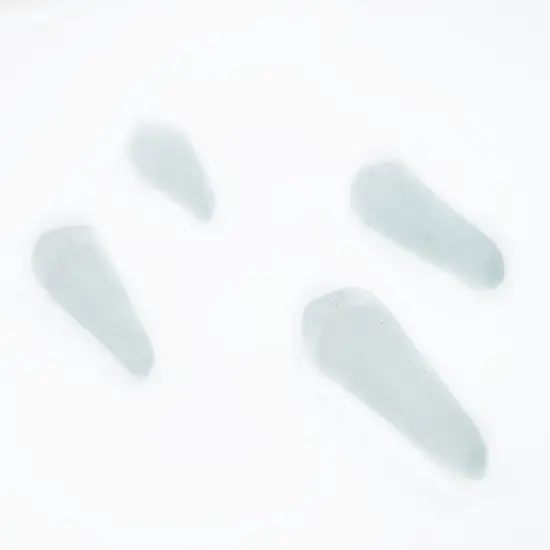 The Bead Chest Tooth Sea Glass Pendants, Frosted Matte Eco-Friendly Translucent Recycled Glass Charms for Jewelry & Necklace Making {4}