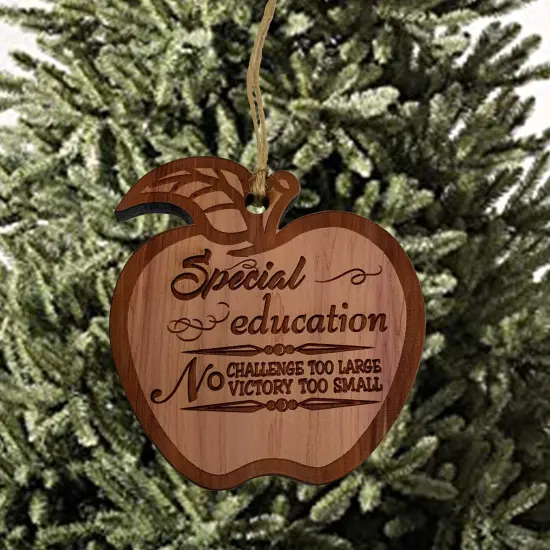 Special Education Ornament - Raw Cedar Ornament {1}
