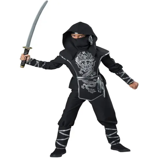 Mythical Trained Dragon Warrior Boy's Costume {1}