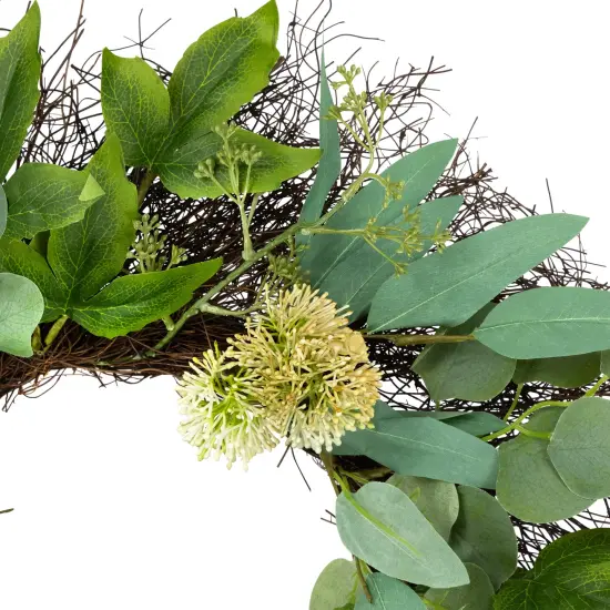 Northlight Eucalyptus and Olive Leaf Twig Spring Wreath, 24-Inch Green {7}