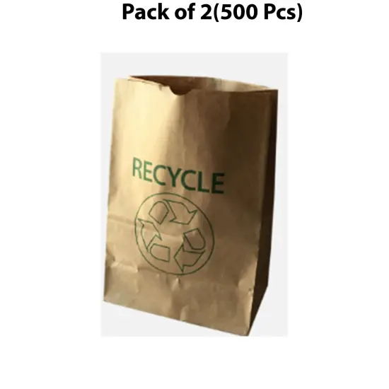 Paper Bag Brown-2 | grocery carryout and reusable for eco-conscious consumers | RAHEEV&reg; {1}