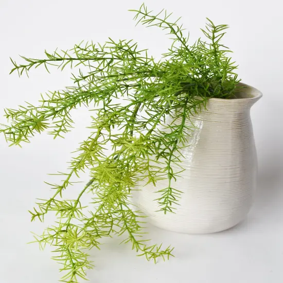 26" Faux Soft Asparagus Fern Sprengeri Bush {3}