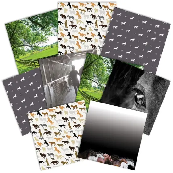 Horse 12 x 12 Scrapbook Paper Set {2}