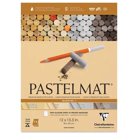 Clairefontaine Pastelmat Pad - 12" x 15-1/2", Assorted, Palette No. 1, 12 Sheets {1}