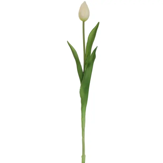 24-Pack: Real Touch Cream Tulip Bud Stem by Floral Home&reg; {1}