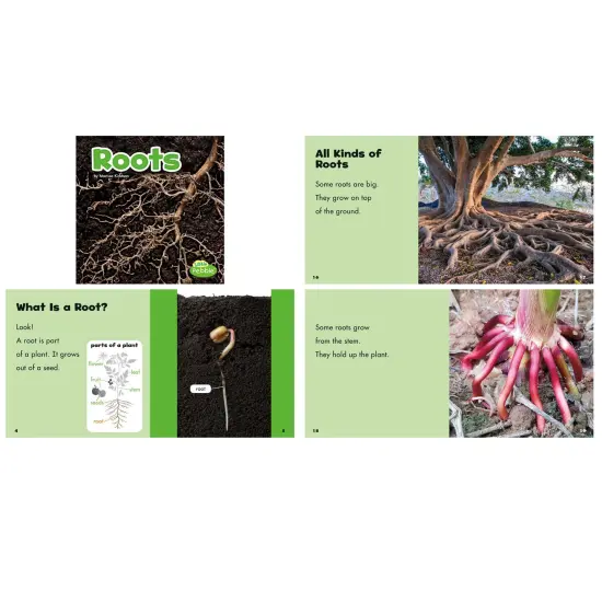 Plant Parts, Set of 6 books {5}