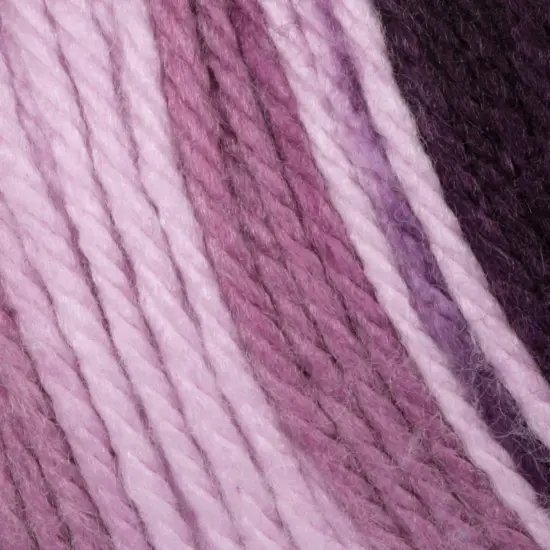 Caron Simply Soft Ombres Yarn {1}