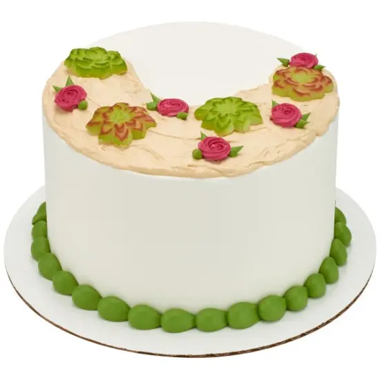 Succulents Assortment Dec-Ons&reg; Decorations 12ct {2}