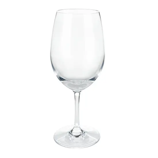 Shatterproof Plastic Wine Glass  {1}