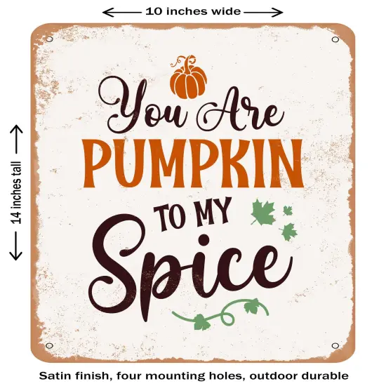DECORATIVE METAL SIGN - You Are Pumpkin to My Spice- Vintage Rusty Look {1}
