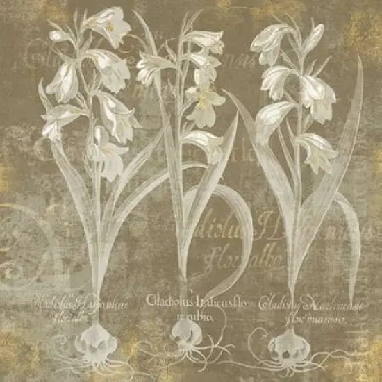 Flower Lines I Poster Print by Sue Schlabach - Item # VARPDX18974 {1}