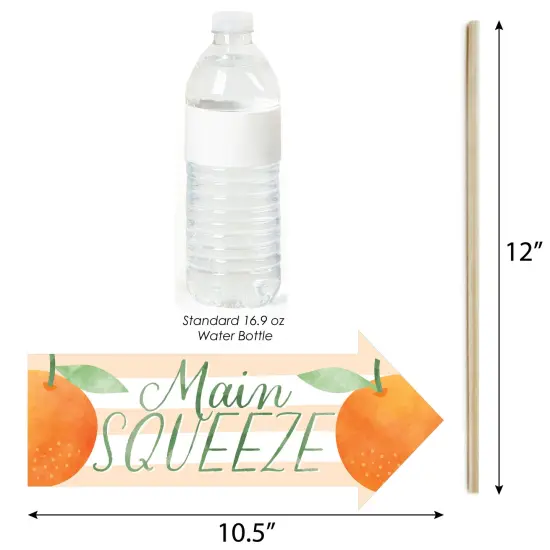 Big Dot of Happiness Funny Little Clementine - Orange Citrus Baby Shower or Birthday Party Photo Booth Props Kit - 10 Piece {4}
