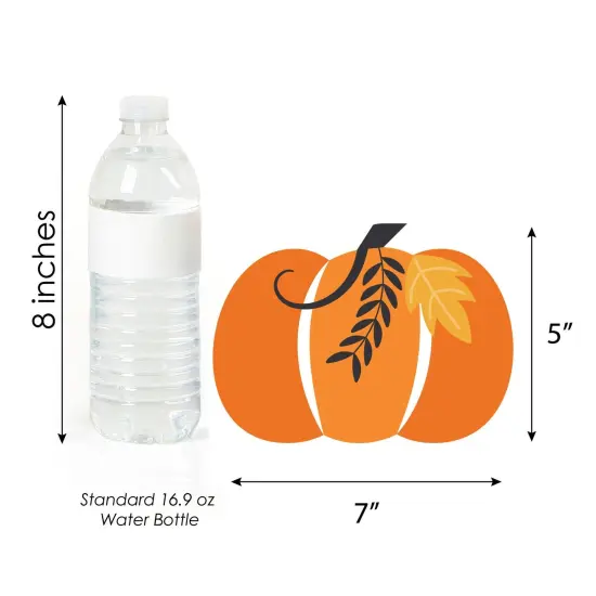 Big Dot of Happiness Fall Pumpkin - Pumpkin Decorations DIY Halloween or Thanksgiving Party Essentials - Set of 20 {6}