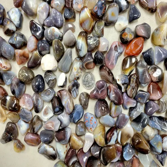 Tumbled Gray Botswana Agates Crystals - Size 3/4 to 2 inch {3}