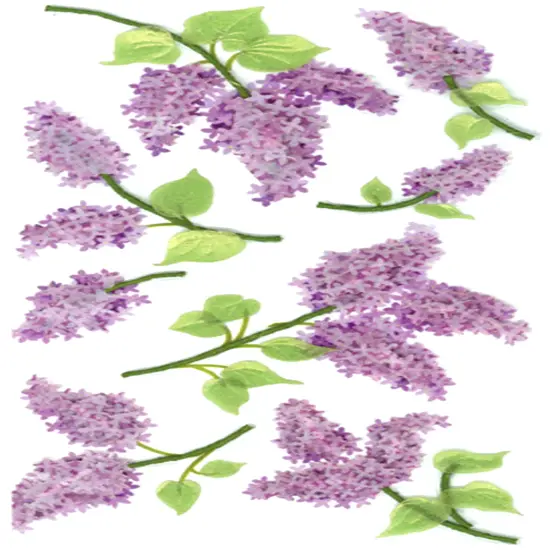 Jolee's Boutique Lovely Lilacs Dimensional Stickers {1}