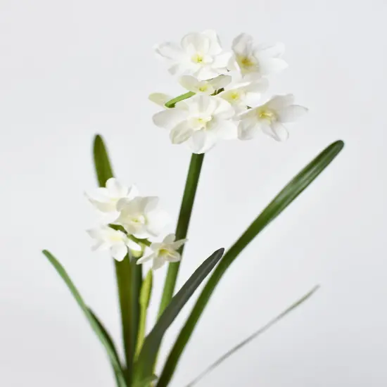 17.5" Faux Paperwhites w/ Bulb {3}