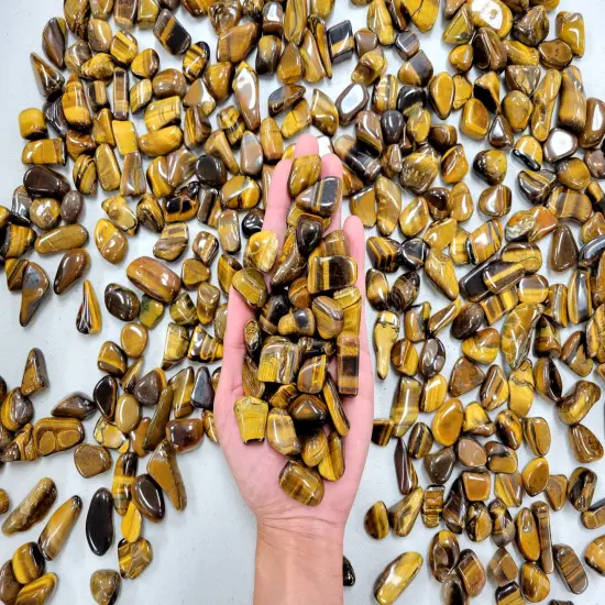 Bulk Tumbled Golden Tiger's Eye Crystals - Size Small 1/2 inch to 1.5 inches {1}