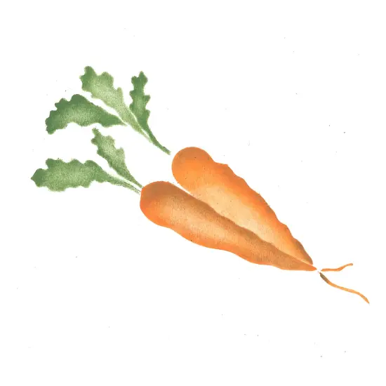 Carrots Craft Stencil | 279A by Designer Stencils | Reusable Art Craft Stencils for Painting on Walls, Canvas, Wood | Reusable Plastic Paint Stencil for Home Makeover | Easy to Use & Clean Art Stencil {1}