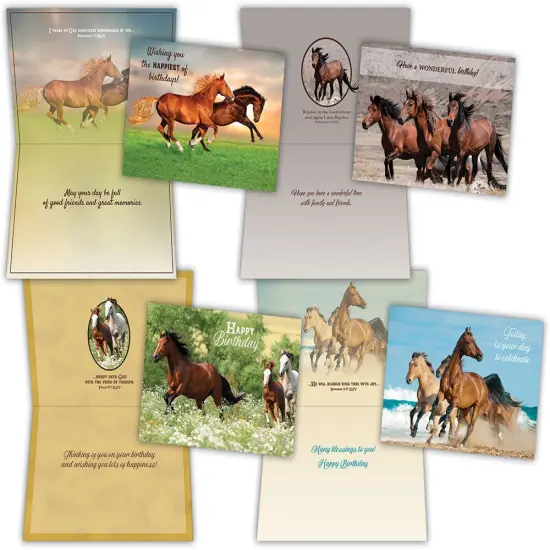 Birthday - Wild Horses - Assorted Birthday Cards {1}