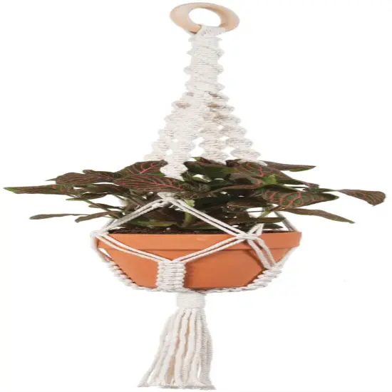 Solid Oak Macrame Plant Hanger Kit-4 Twists {2}
