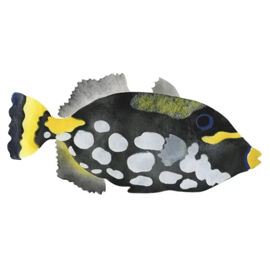 Clown Trigger Fish Wall Stencil | 3015 by Designer Stencils | Animal & Nature Stencils | Reusable Art Craft Stencils for Painting on Walls, Canvas, Wood | Reusable Plastic Paint Stencil for Home Makeover | Easy to Use & Clean Art Stencil {1}