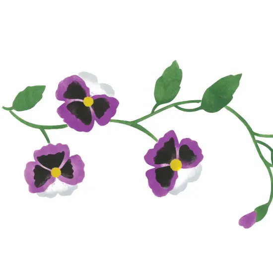 Pansy Flower Wall Stencil | 3172 by Designer Stencils | Floral Stencils | Reusable Art Craft Stencils for Painting on Walls, Canvas, Wood | Reusable Plastic Paint Stencil for Home Makeover | Easy to Use & Clean Art Stencil {2}