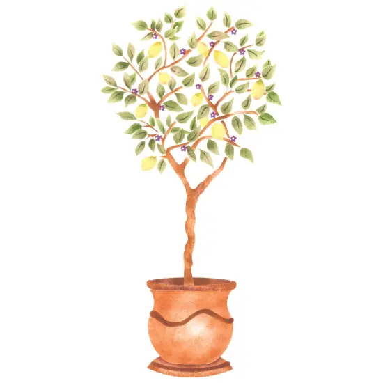 Lemon Tree Topiary Wall Stencil | 3286A by Designer Stencils | Floral Stencils | {1}