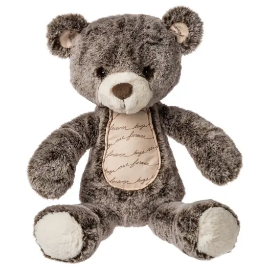 Soft Saying Teddy by Mary Meyer - 16" Stuffed Animal {1}