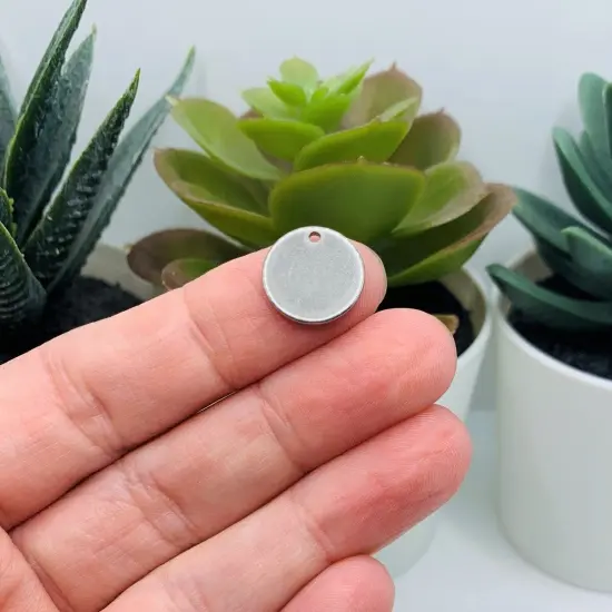 4, 20 or 50 Pieces: 13 mm Silver Stainless Steel Stamping Tag Blanks {3}