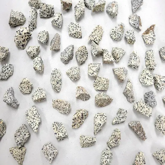 Rough Dalmatian Jasper Stones - Bulk Raw Crystals {5}