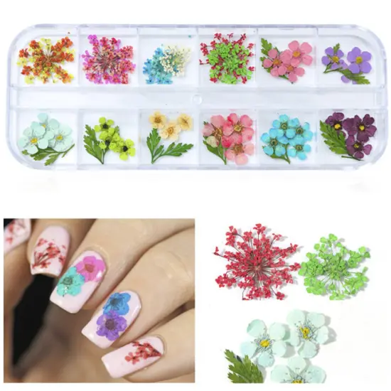 Wrapables Real Dry Flowers Nail Art 3d Flower Nail Decals Nail Manicure with Plastic Case (Set of 12), Posies {1}