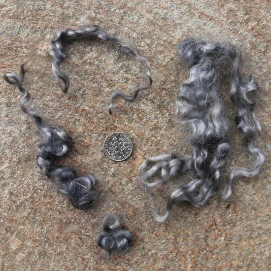 GRAY MOHAIR LOCKS. Organic Hand-Dyed Curly Wool for Rooting Doll Hair, Felting, Blending, Spinning. 1oz {3}