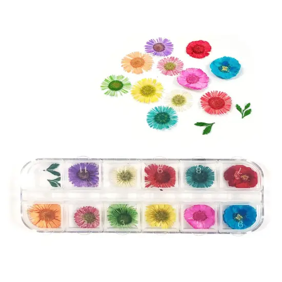 Wrapables Real Dry Flowers Nail Art 3d Flower Nail Decals Nail Manicure with Plastic Case (Set of 12), Daisies {2}