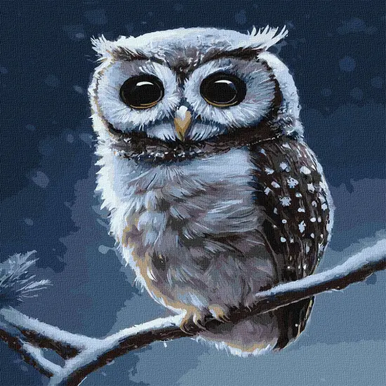 Painting by Numbers kit Forest owl KHO4457 {2}